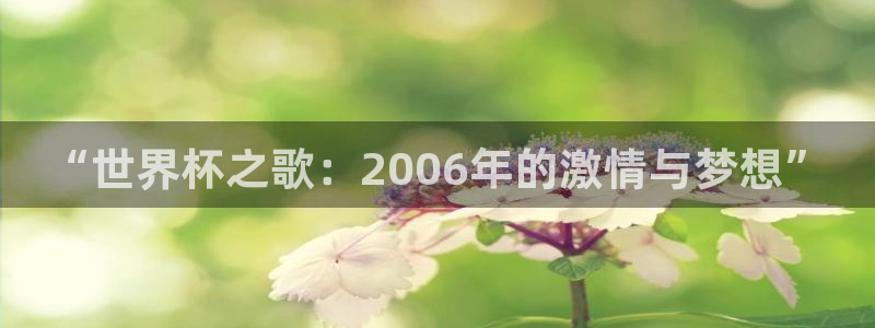 2026世界杯南美区积分榜：“世界杯之歌：2006年的激情与梦想”