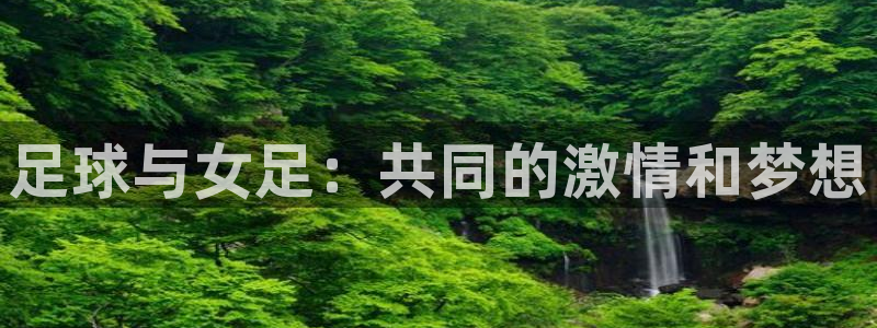 足球世界杯2026年赛程时间表：足球与女足：共同的激情和梦想