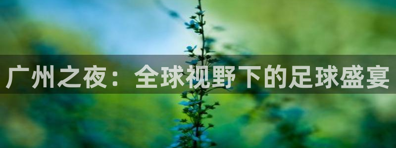 世界杯预选赛赛程表：广州之夜：全球视野下的足球盛宴