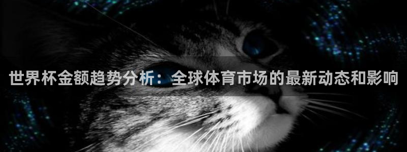 世界杯预选赛赛程：世界杯金额趋势分析：全球体育市场的最新动态和影响