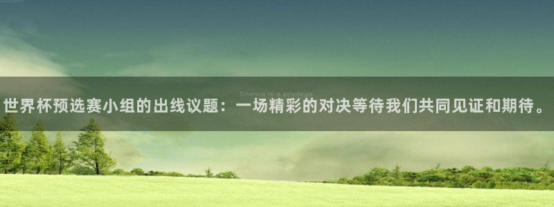 2026世界杯预选赛：世界杯预选赛小组的出线议题：一场精彩的对决等待我们共同见证和期待。