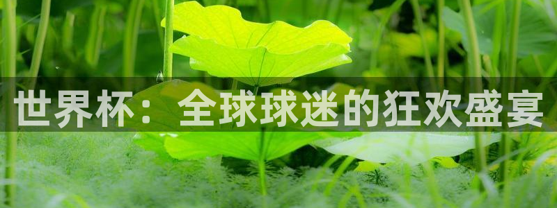 世界杯决赛圈球队：世界杯：全球球迷的狂欢盛宴