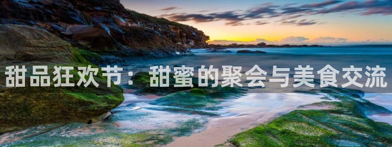 世界杯2026赛制：甜品狂欢节：甜蜜的聚会与美食交流