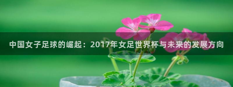 世界杯48支球队赛制：中国女子足球的崛起：2017年女足世界杯与未来的发展方向