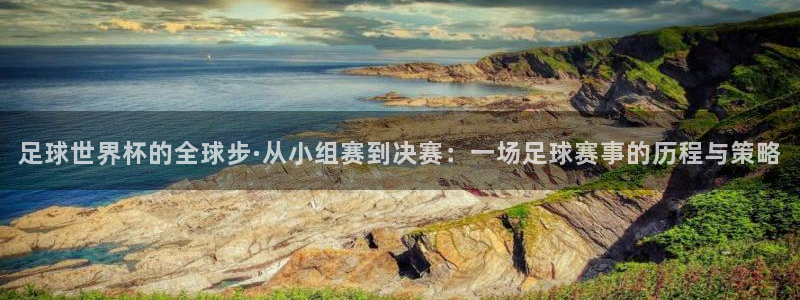 世界杯预选赛亚洲区赛程：足球世界杯的全球步·从小组赛到决赛：一场足球赛事的历程与策略